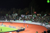 12305